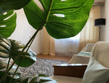 2-к. квартира, 51,4&nbsp;м²