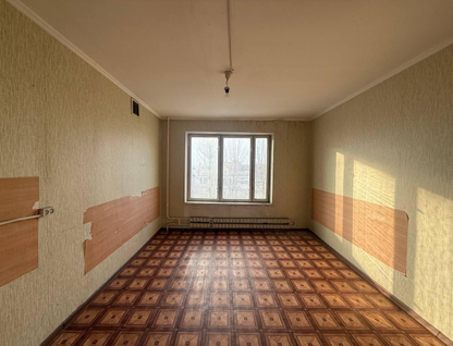 Студия, 17&nbsp;м²