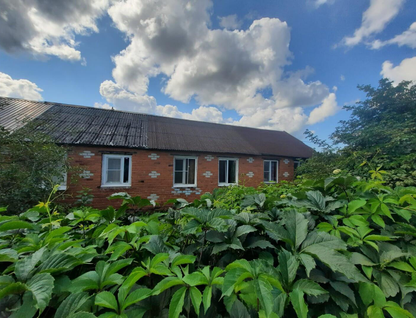 3-к. квартира, 53,3&nbsp;м²