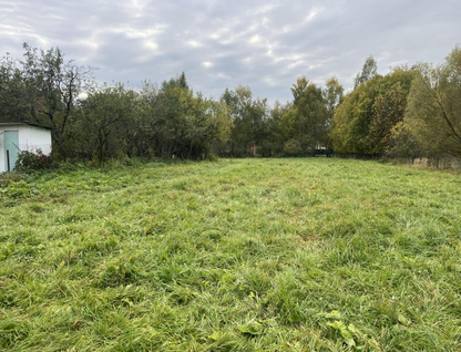 Участок (ижс), 47 сот.