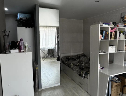 Студия, 30,2 м²