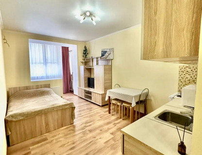 Студия, 25&nbsp;м²