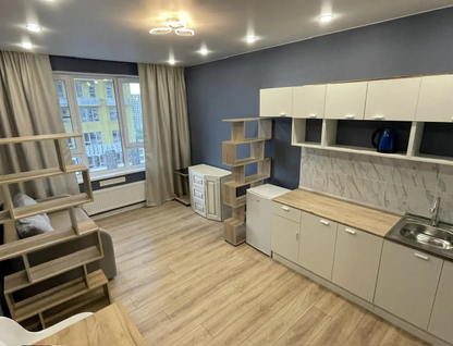 Студия, 24,1 м²