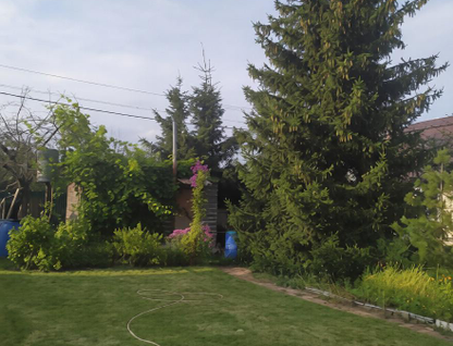 Двухэтажная дача, 50 м²