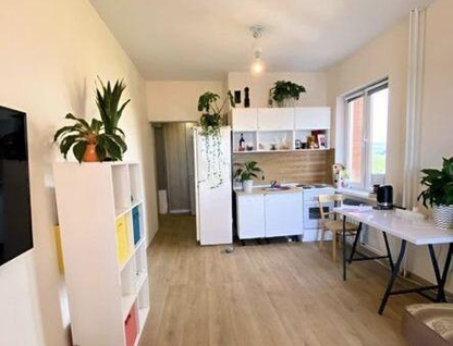 1-к. квартира, 33&nbsp;м²