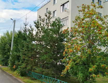 1-к. квартира, 35,7&nbsp;м²
