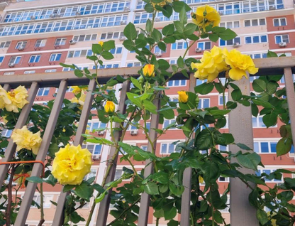 2-к. квартира, 49&nbsp;м²