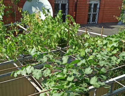 Трехэтажный дом, 161 м²