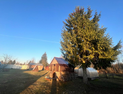 Одноэтажная дача, 35,7 м²