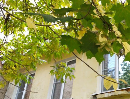 1-к. квартира, 30,3 м²