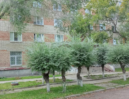 1-к. квартира, 30,2&nbsp;м²