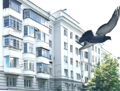 2-к. квартира, 44,2 м²
