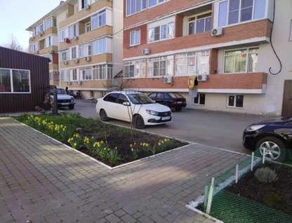 Студия, 31,3&nbsp;м²
