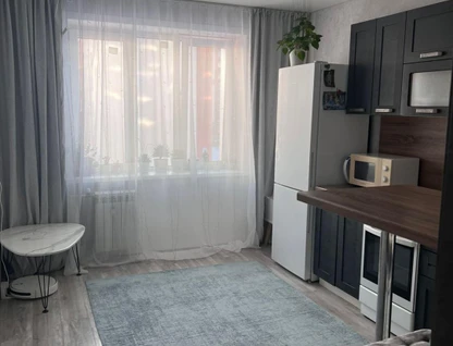 1-к. квартира, 43&nbsp;м²