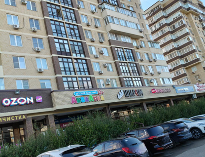 1-к. квартира, 46,1&nbsp;м²