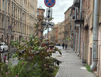 4-к. квартира, 87,8 м²