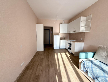 Студия, 23,9&nbsp;м²