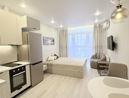 Студия, 24,8 м²