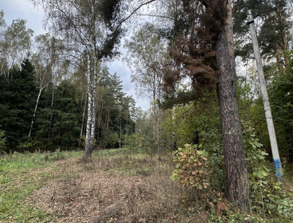 Участок (садоводство), 4 сот.