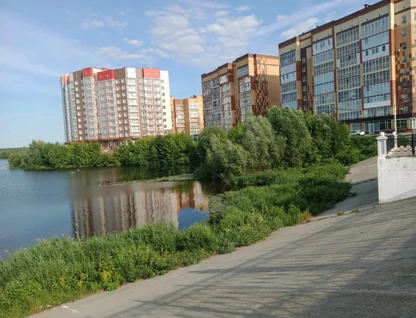 1-к. квартира, 49&nbsp;м²
