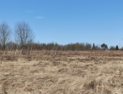 Участок (ижс), 20,1 сот.