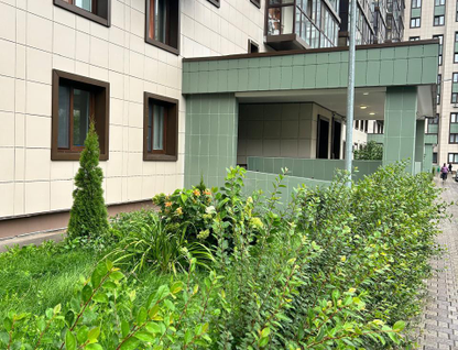 Студия, 25&nbsp;м²