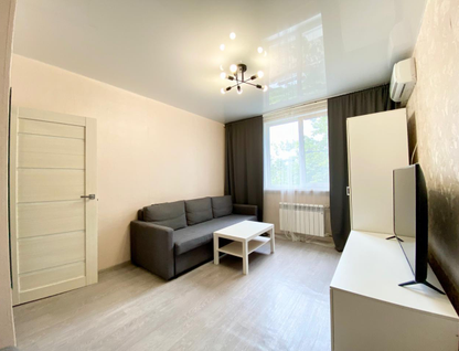 1-к. квартира, 31,8&nbsp;м²