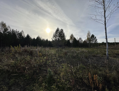 Участок (садоводство), 10 сот.