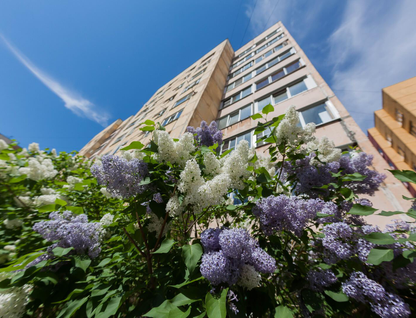 3-к. квартира, 67,2&nbsp;м²