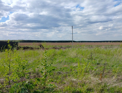 Участок (ижс), 6,3 сот.