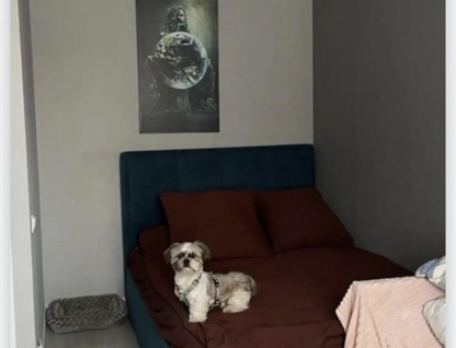 1-к. квартира, 32,8 м²