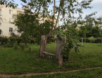 2-к. квартира, 53,6&nbsp;м²