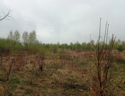 Участок (земля с/х назначения), 51 сот.