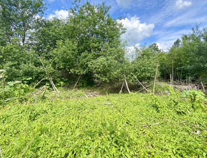 Участок (личное подсобное хозяйство), 18 сот.