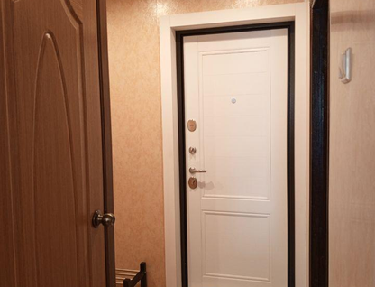 1-к. квартира, 30,1&nbsp;м²