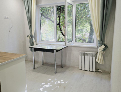 Студия, 14&nbsp;м²
