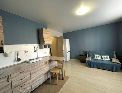 Студия, 25&nbsp;м²