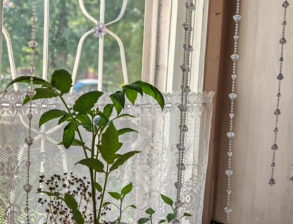 2-к. квартира, 47&nbsp;м²