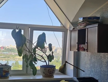 2-к. квартира, 50&nbsp;м²