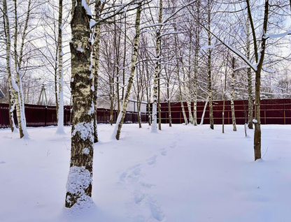 Участок (земля днп), 21,4 сот.