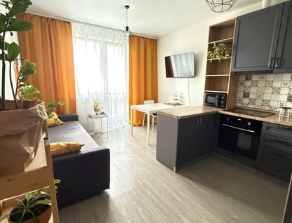 1-к. квартира, 47&nbsp;м²