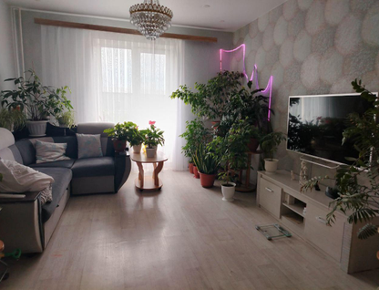 3-к. квартира, 79,5&nbsp;м²