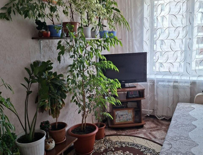 2-к. квартира, 43,4 м²