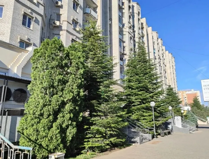4-к. квартира, 114,7&nbsp;м²