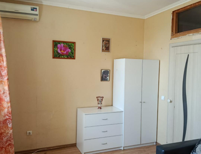 Студия, 25&nbsp;м²