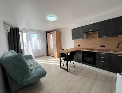 Студия, 24&nbsp;м²