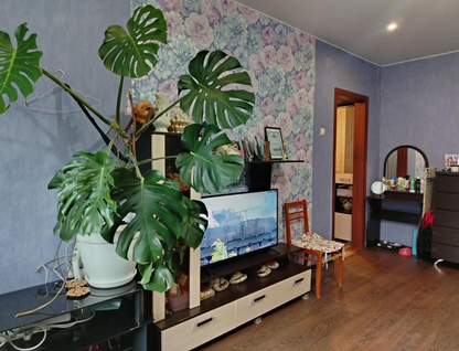 1-к. квартира, 30,9&nbsp;м²