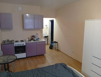 Студия, 25&nbsp;м²