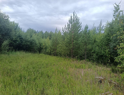 Участок (ижс), 12 сот.