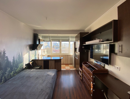 Студия, 17&nbsp;м²